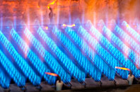 Boswednack gas fired boilers